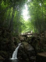 Jiulongyuan Sceneic Area