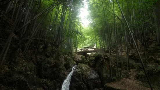 Jiulongyuan Sceneic Area