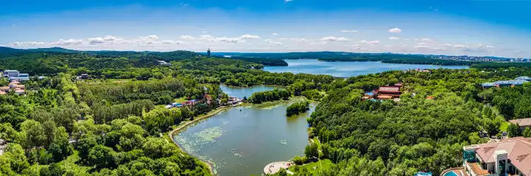 Hotels near Forest Park