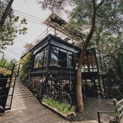 The Tree House User Photo