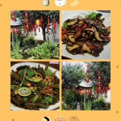 Yun Qin User Photo