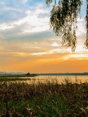 Houguanhu Wetland Park