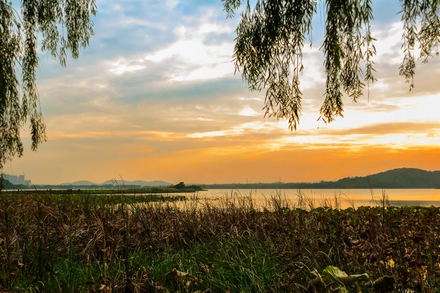 Houguanhu Wetland Park