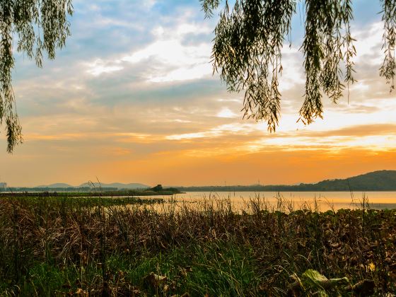 Houguanhu Wetland Park