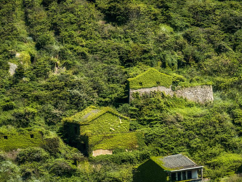 야오산구오杞 관광지구