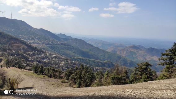 Damu Mountain Forest Park