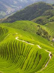 Ping'an Zhuang Terraces