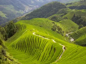 Ping'an Zhuang Terraces