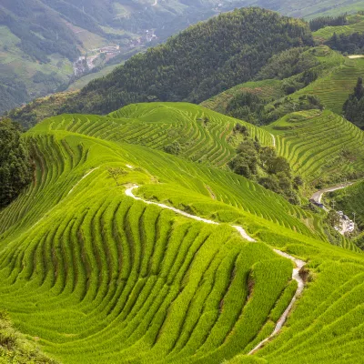 澳洲航空 飛 河池