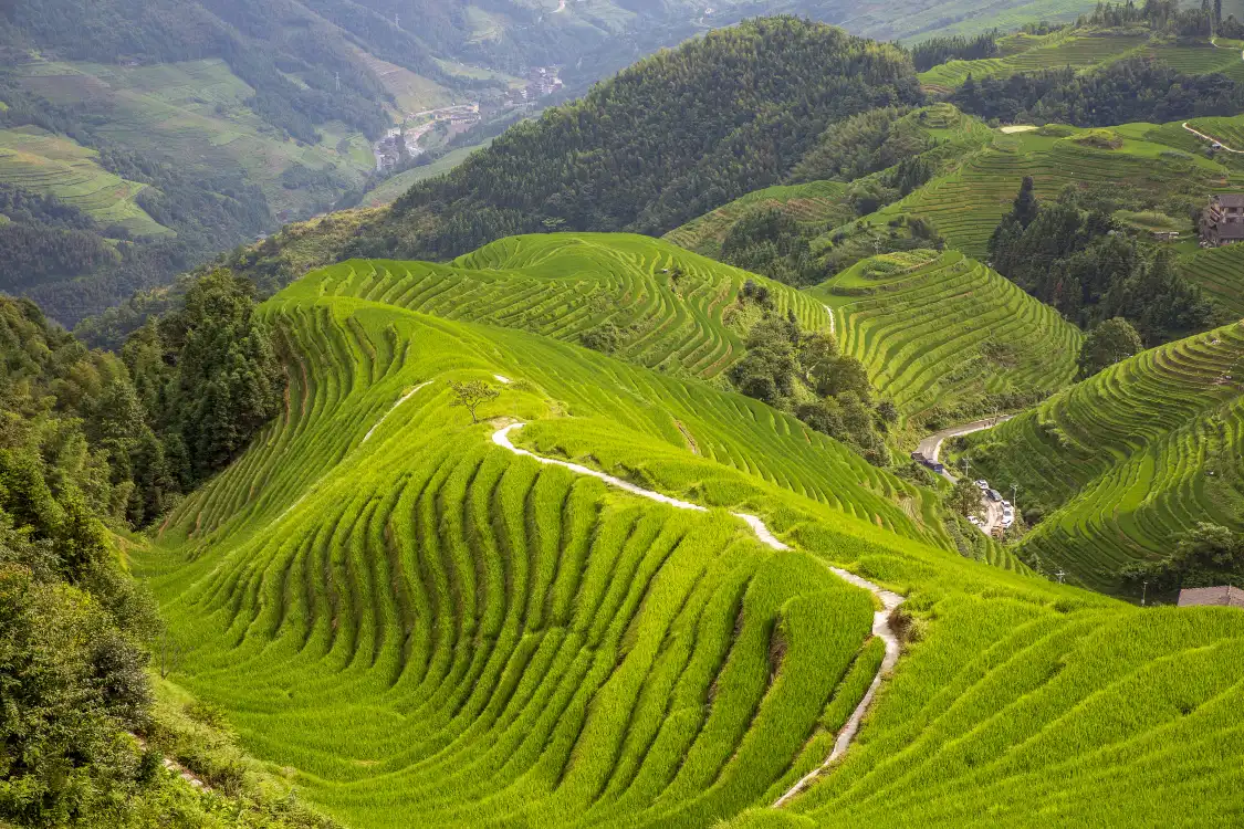 Hotels near Ping'an Zhuang Terraces