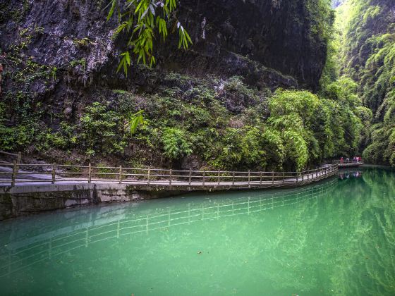 Yaozhi River Scenic Area