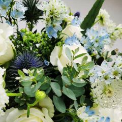 情怀小馆 User Photo