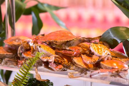 Shenghejiudianyuanzuozhong Restaurant