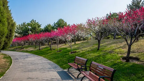 Huangshanhu Park