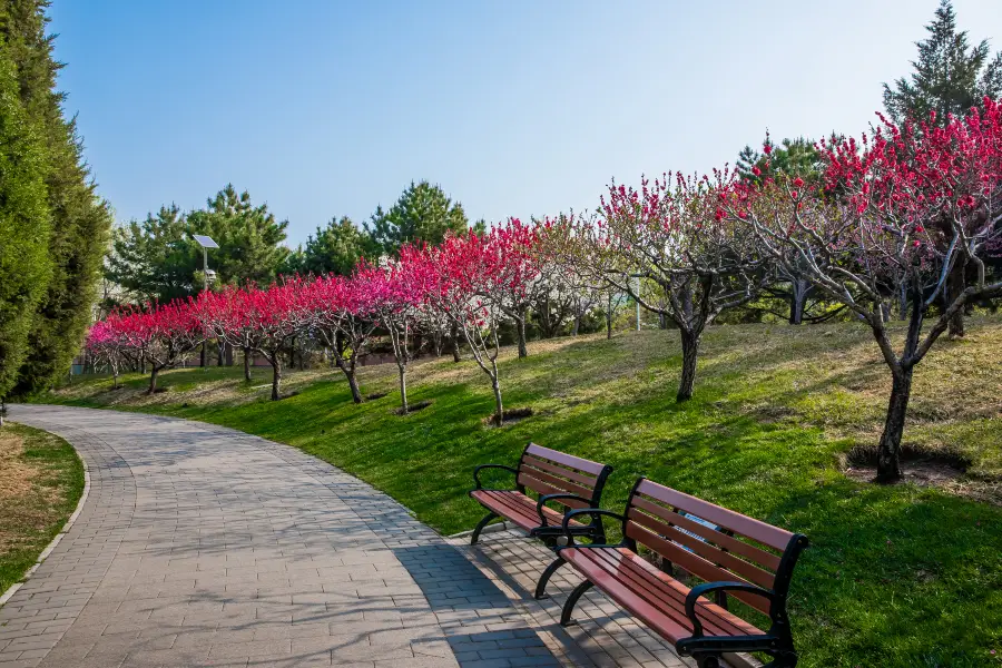 황산후 공원