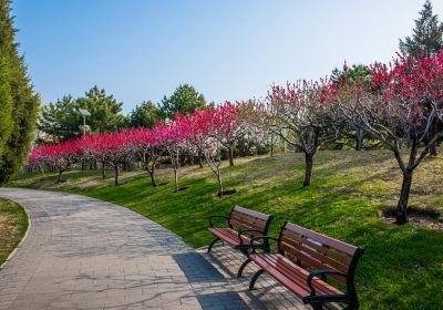 黃山湖公園