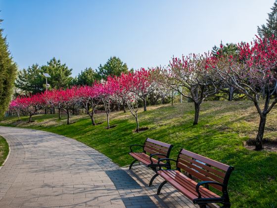 Huangshanhu Park