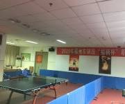 省體育中心乒乓球俱樂部東南體育