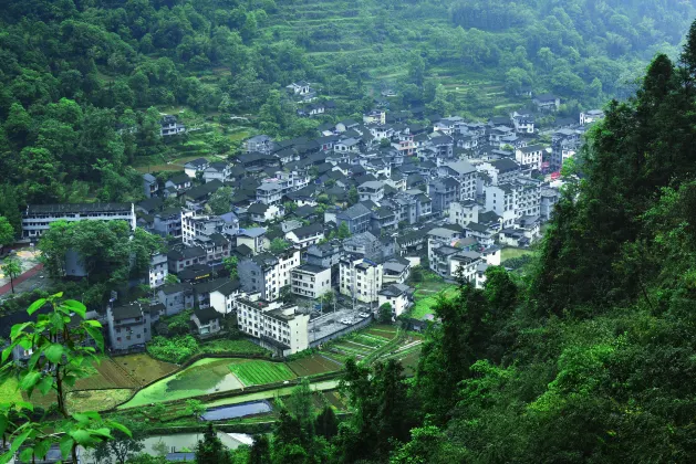 Для бизнес-поездок Отели в г. Цзысин