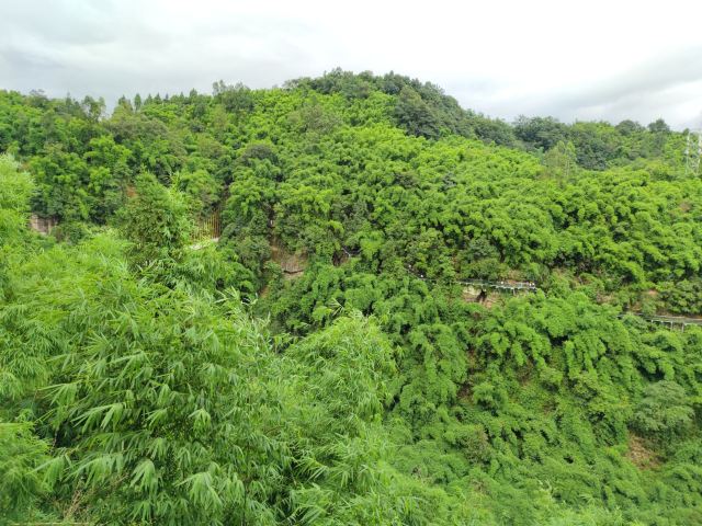 Bamboo Canyon Scenic Area (Jinji Valley)