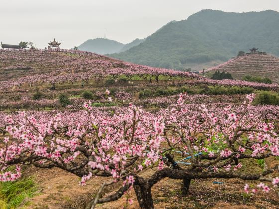 천하 최초의 복원