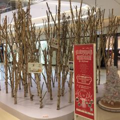 Sudu Pizza (wanxiangcheng) User Photo