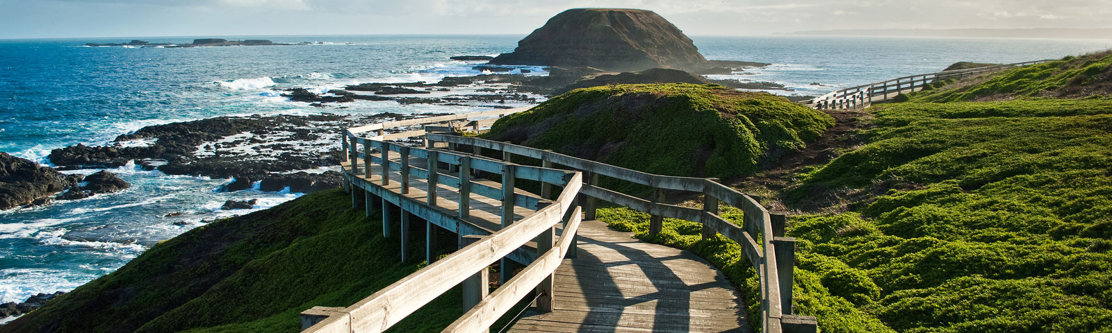 Phillip IslandTours