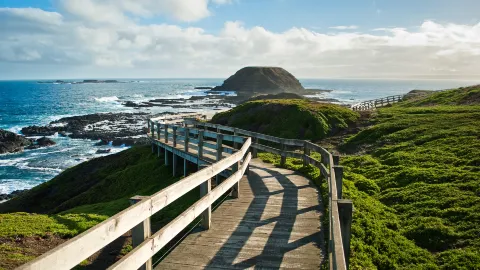 Phillip Island travel destination