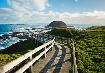 菲利普島