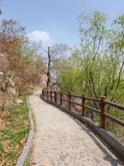 longwandizhi Park