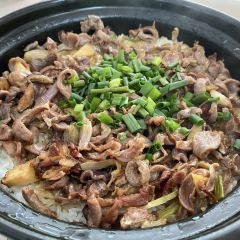 品鸽天下 User Photo