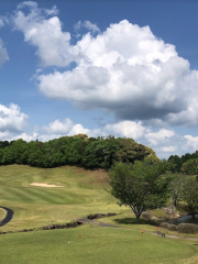 Lake Swan Country Club Mine Course