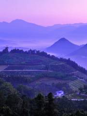 555, Taiwan, Nantou County, Yuchi Township, 猫囒山步道