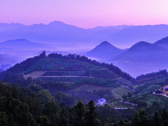 555台灣南投縣魚池鄉猫囒山步道