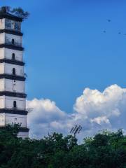 Yuhong Tower