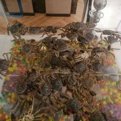 长春保利万怡酒店·万荟轩全日餐厅 User Photo