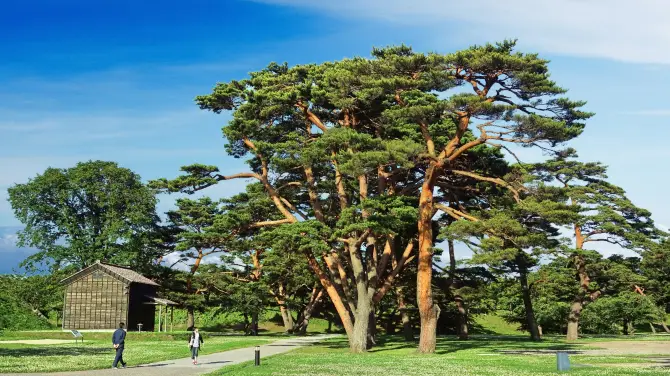 1_Hakodate Park