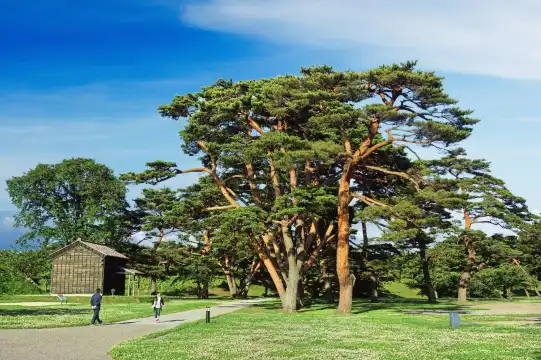 Hoteles cerca de Hakodate Park