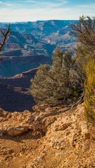 1-Day Tour to Grand Canyon West Rim (Includes Helicopter Ride + Sightseeing Cruise Ticket)