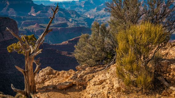 Tagestour zum West Rim des Grand Canyon (inkl. Helikopter- und Bootstickets)