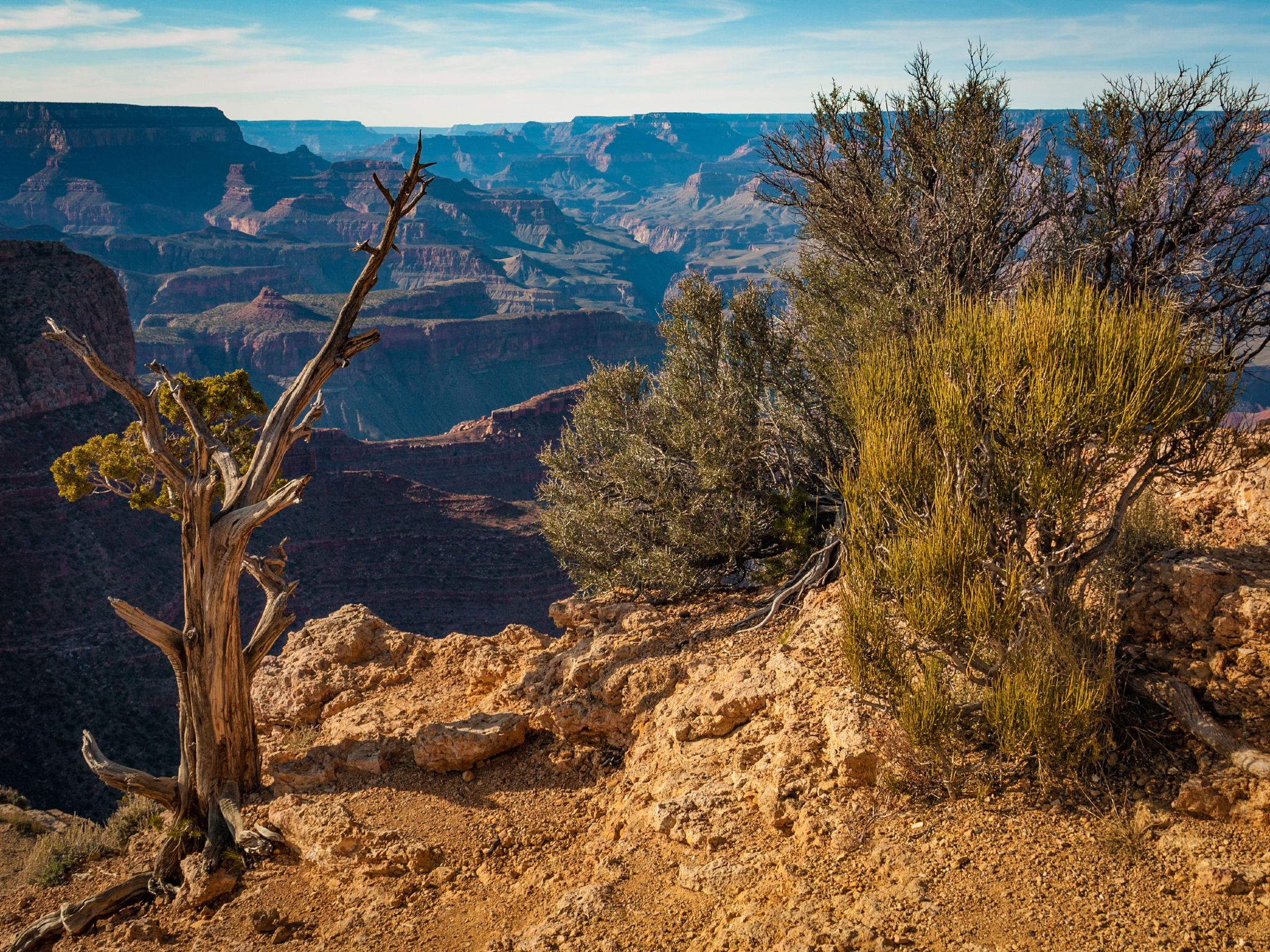 1-Day Tour to Grand Canyon West Rim (Includes Helicopter Ride + Sightseeing Cruise Ticket)