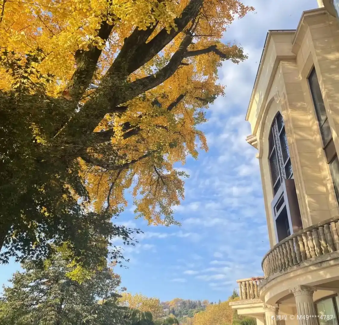 Hotels near Du Yuesheng Mansion