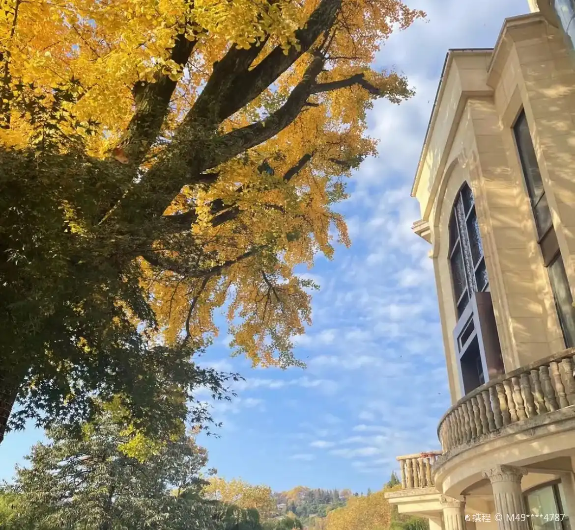 Hotels near Du Yuesheng Mansion