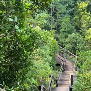 昂坪棧道