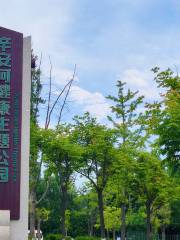 Xin'an River Health Theme Park