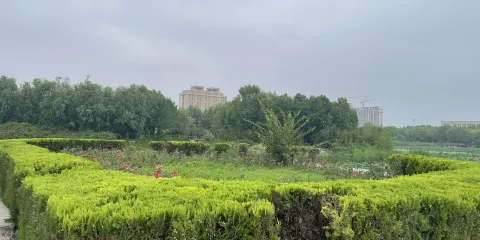 邱縣盛水湖公園