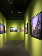 無錫展覧館