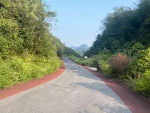 百里杜杜花王景区