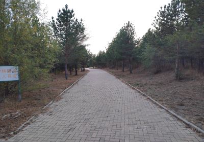 Zhalaiteqi Forest Park