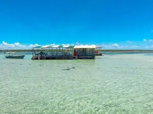 Piscinas Naturais de Garapuá